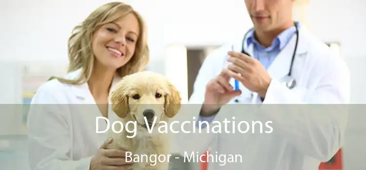 Dog Vaccinations Bangor - Michigan