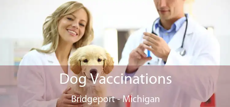 Dog Vaccinations Bridgeport - Michigan