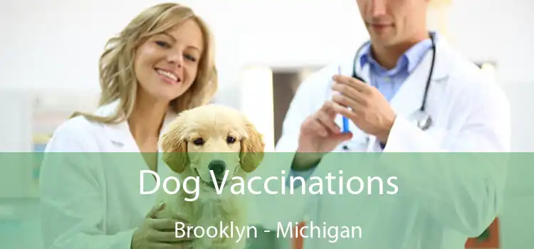 Dog Vaccinations Brooklyn - Michigan