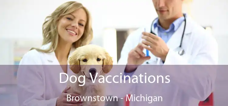 Dog Vaccinations Brownstown - Michigan