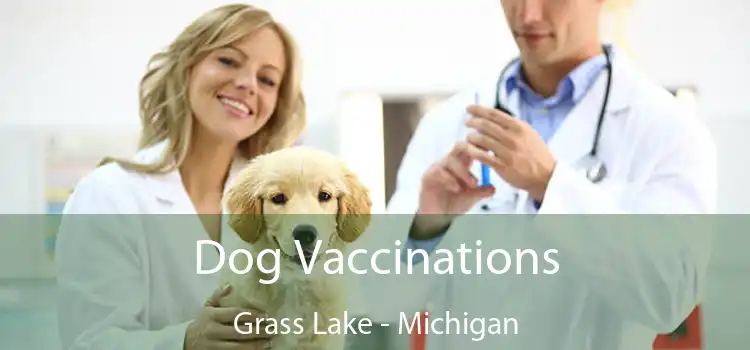 Dog Vaccinations Grass Lake - Michigan