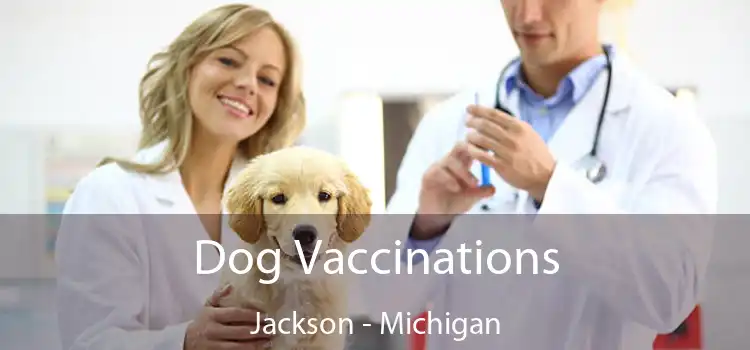 Dog Vaccinations Jackson - Michigan