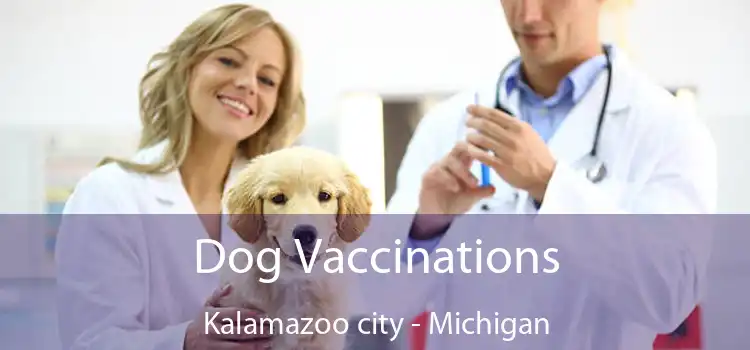 Dog Vaccinations Kalamazoo city - Michigan