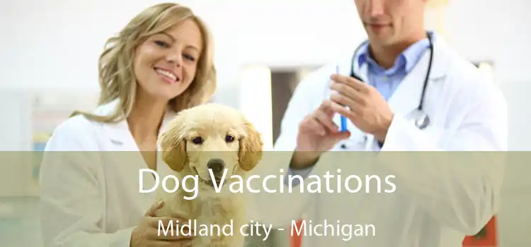 Dog Vaccinations Midland city - Michigan