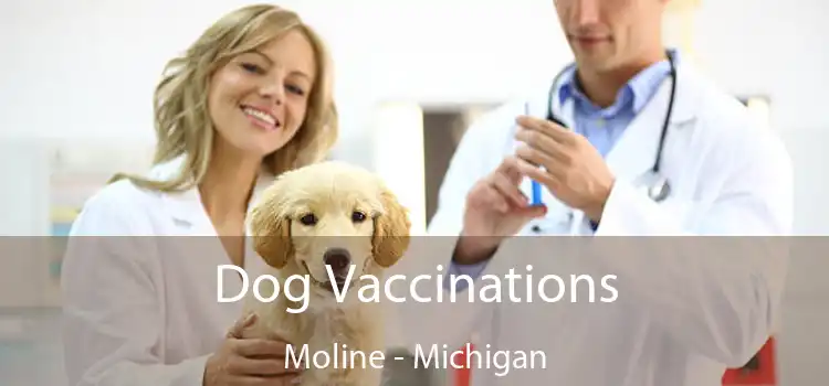 Dog Vaccinations Moline - Michigan