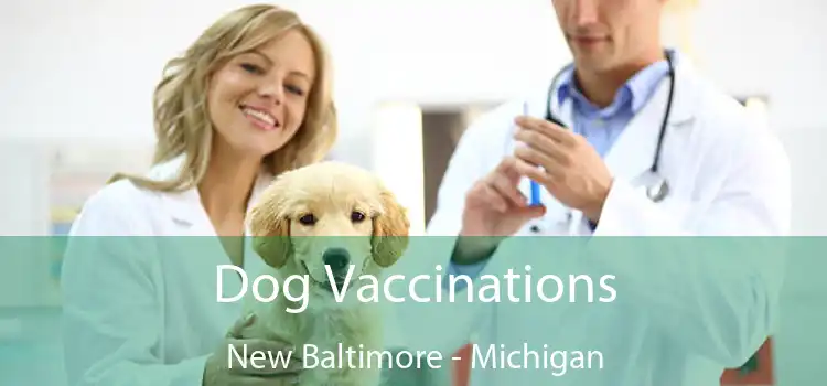 Dog Vaccinations New Baltimore - Michigan