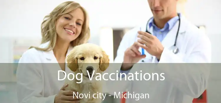 Dog Vaccinations Novi city - Michigan