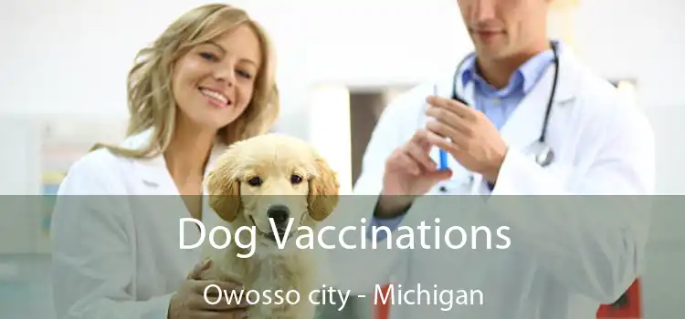 Dog Vaccinations Owosso city - Michigan