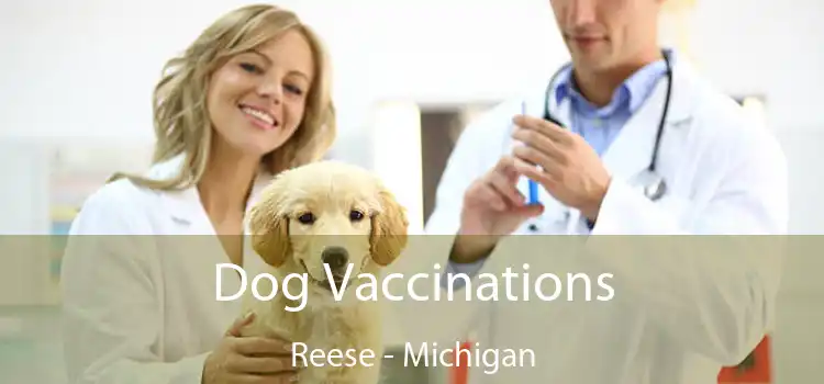 Dog Vaccinations Reese - Michigan