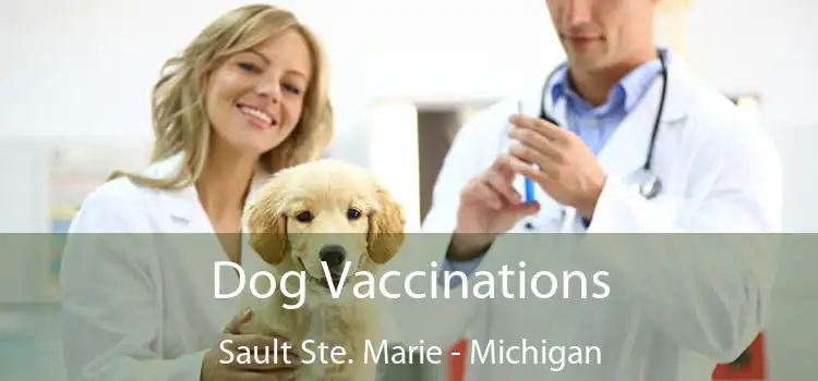 Dog Vaccinations Sault Ste. Marie - Michigan