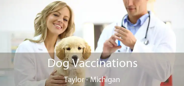 Dog Vaccinations Taylor - Michigan