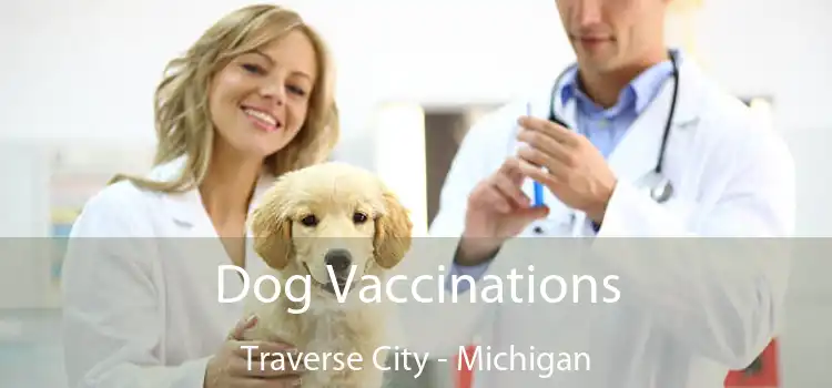 Dog Vaccinations Traverse City - Michigan