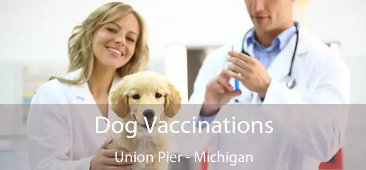 Dog Vaccinations Union Pier - Michigan