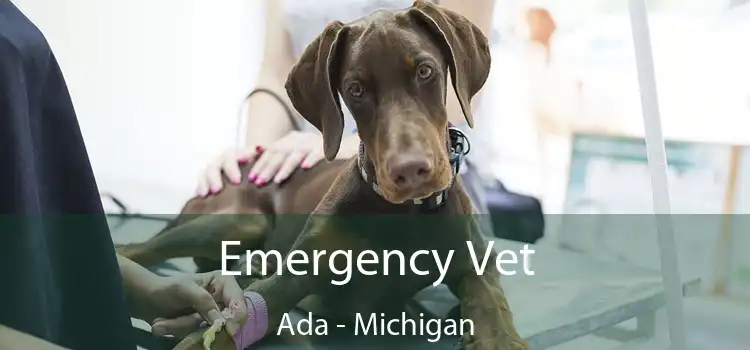 Emergency Vet Ada - Michigan