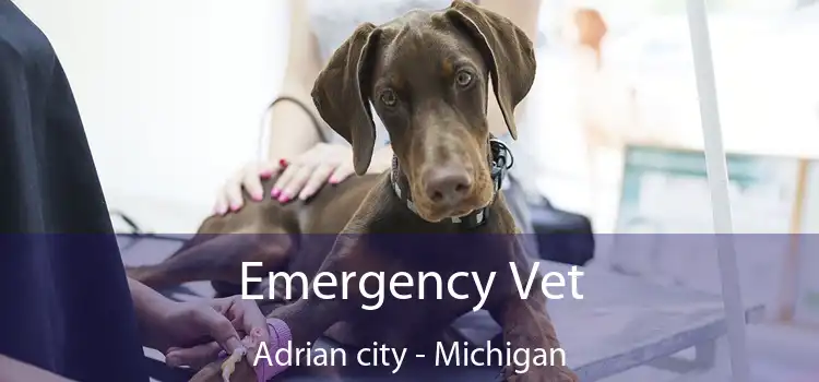 Emergency Vet Adrian city - Michigan