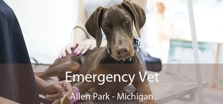 Emergency Vet Allen Park - Michigan