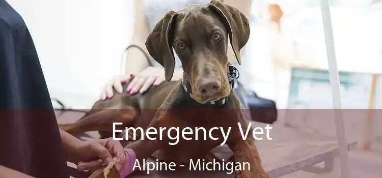 Emergency Vet Alpine - Michigan