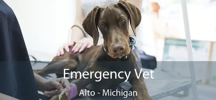 Emergency Vet Alto - Michigan