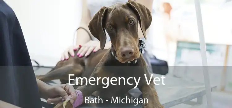 Emergency Vet Bath - Michigan