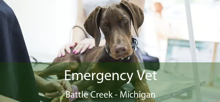 Emergency Vet Battle Creek - Michigan