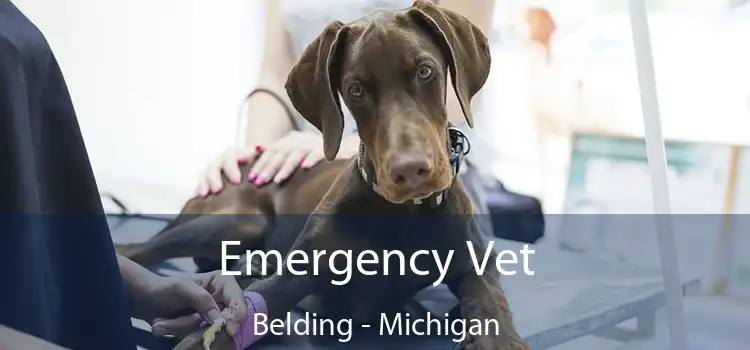 Emergency Vet Belding - Michigan