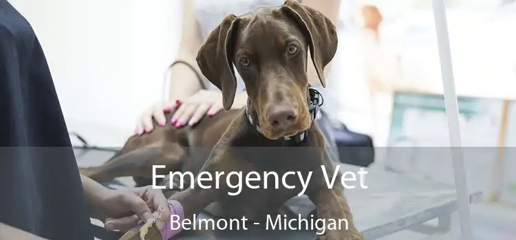 Emergency Vet Belmont - Michigan