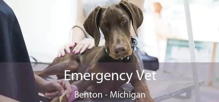 Emergency Vet Benton - Michigan