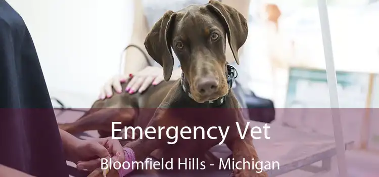 Emergency Vet Bloomfield Hills - Michigan