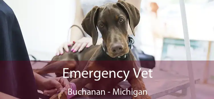 Emergency Vet Buchanan - Michigan