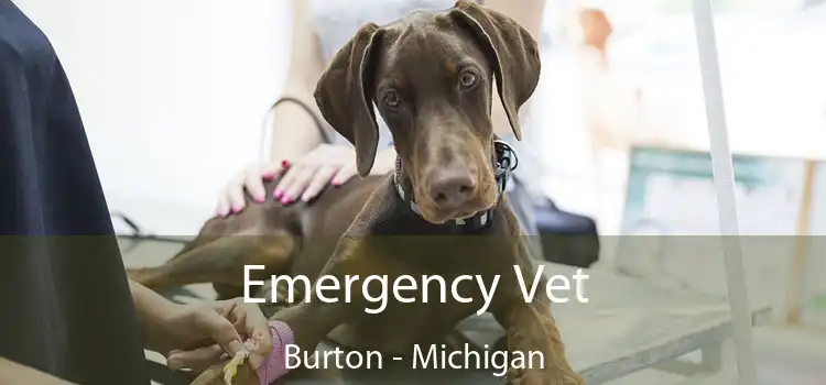 Emergency Vet Burton - Michigan