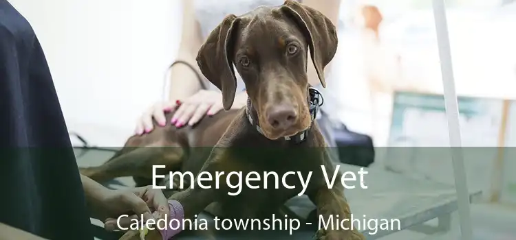 Emergency Vet Caledonia township - Michigan