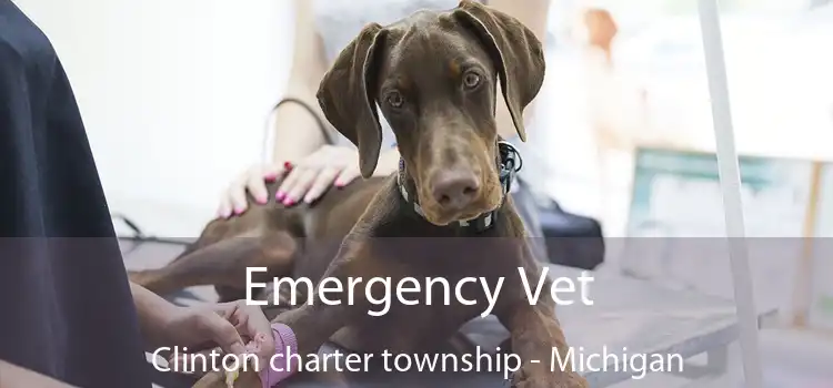 Emergency Vet Clinton charter township - Michigan