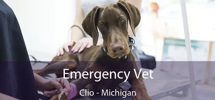 Emergency Vet Clio - Michigan