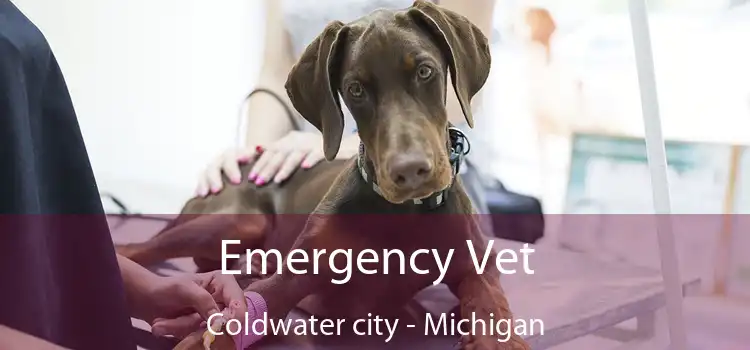 Emergency Vet Coldwater city - Michigan