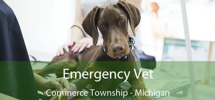 Emergency Vet Commerce Township - Michigan