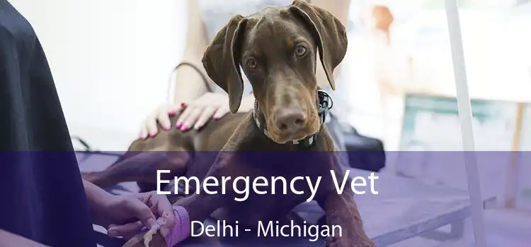 Emergency Vet Delhi - Michigan