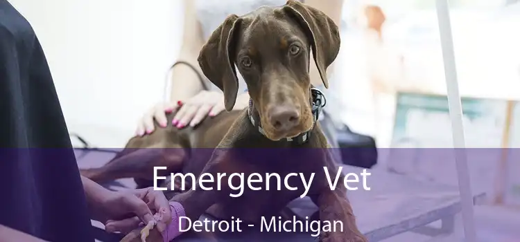 Emergency Vet Detroit - Michigan