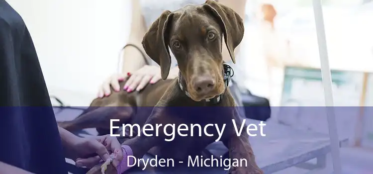 Emergency Vet Dryden - Michigan