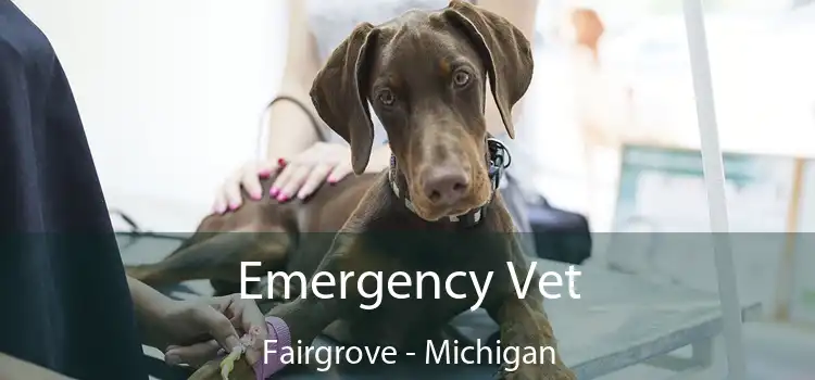 Emergency Vet Fairgrove - Michigan