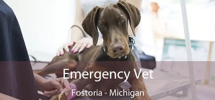 Emergency Vet Fostoria - Michigan