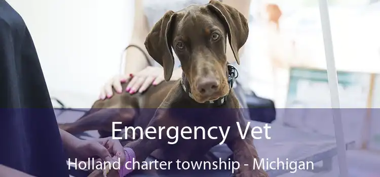 Emergency Vet Holland charter township - Michigan