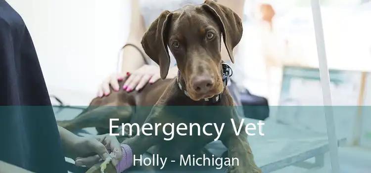 Emergency Vet Holly - Michigan