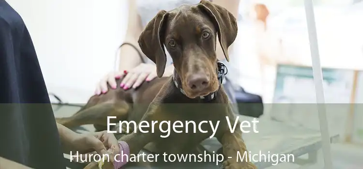 Emergency Vet Huron charter township - Michigan