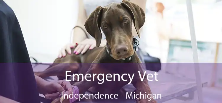 Emergency Vet Independence - Michigan