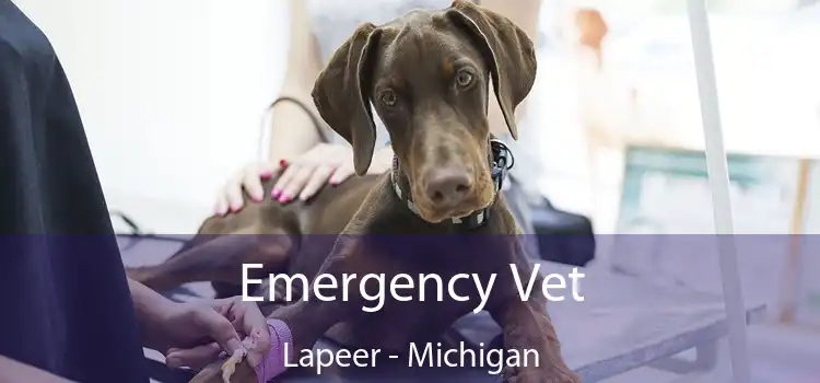 Emergency Vet Lapeer - Michigan