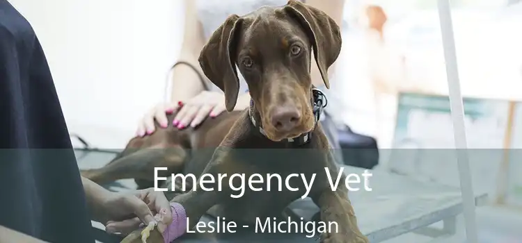 Emergency Vet Leslie - Michigan