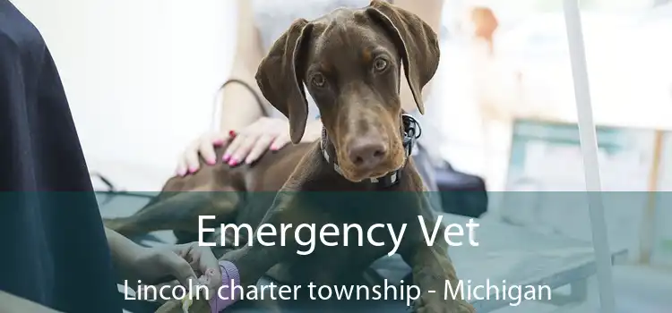 Emergency Vet Lincoln charter township - Michigan