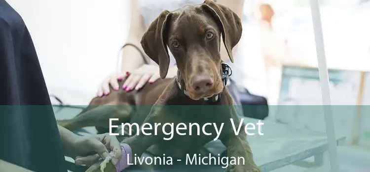 Emergency Vet Livonia - Michigan