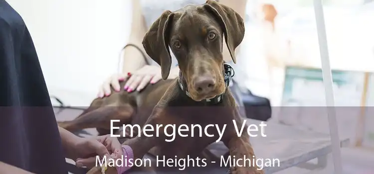 Emergency Vet Madison Heights - Michigan