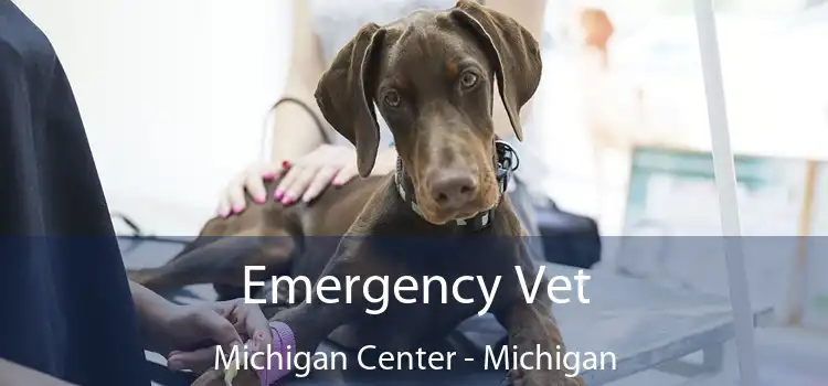 Emergency Vet Michigan Center - Michigan